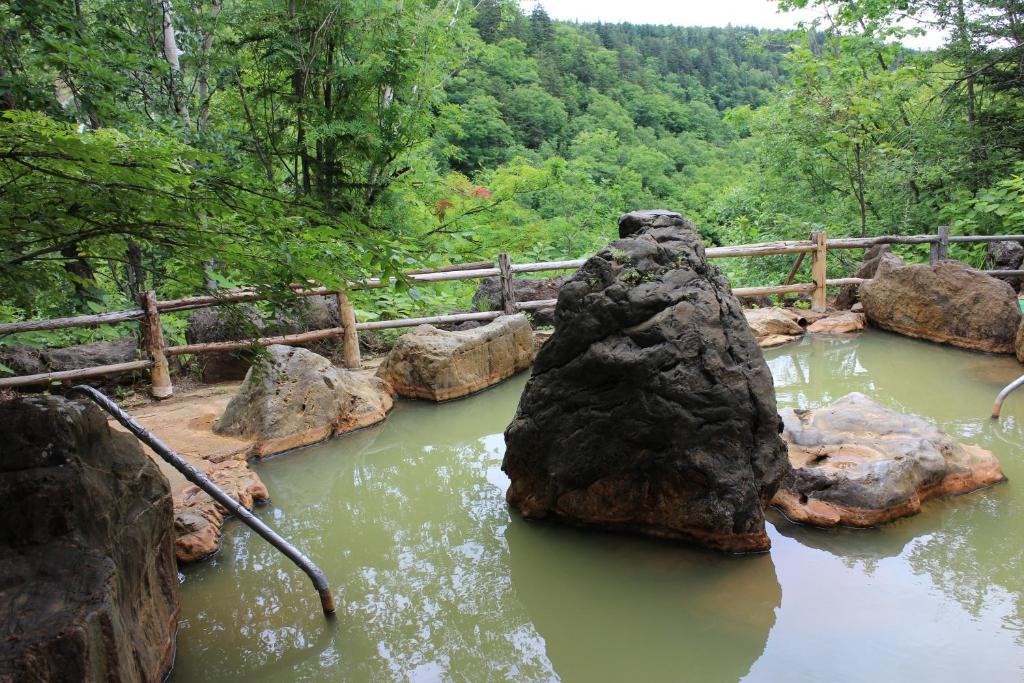湯元　白金温泉　ホテル 美瑛町 エクステリア 写真